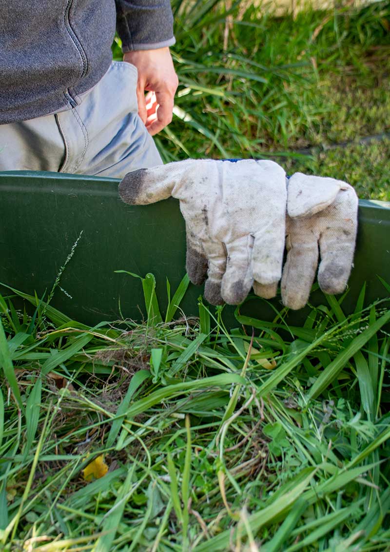 Green waste disposal by councils
