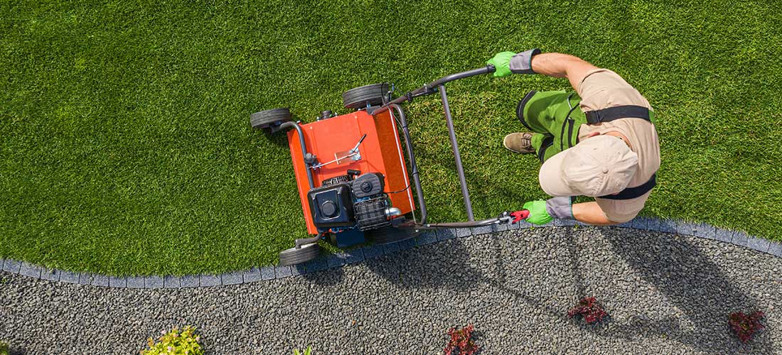 Using a tradesperson for garden clearance