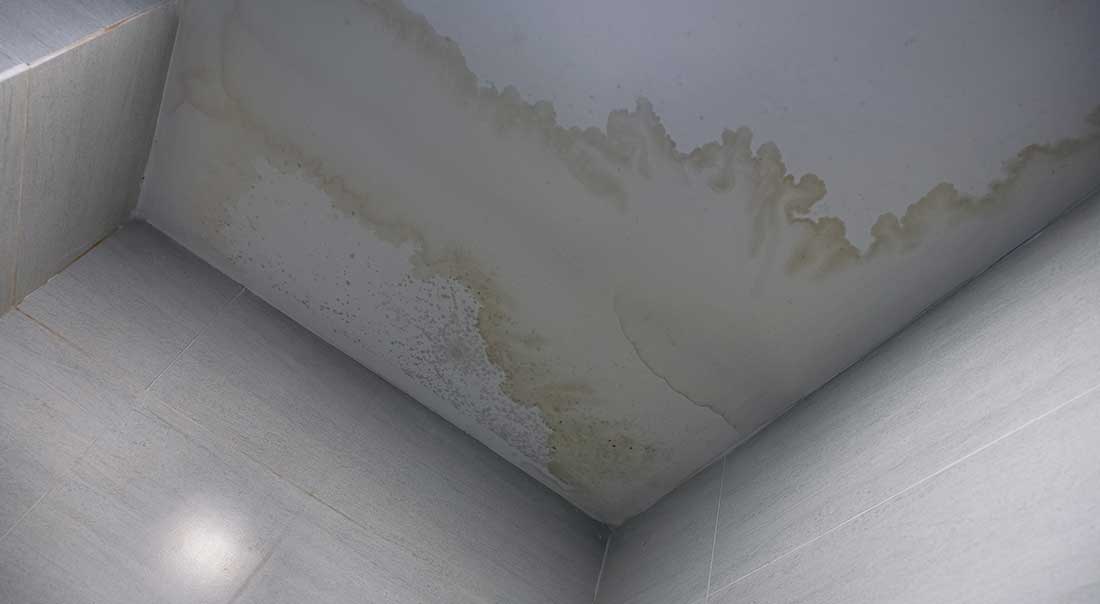 Gutter and water damage on roof